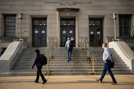 股票线上配资网 美国农业部超1.5万名员工接受特朗普政府自愿离职计划