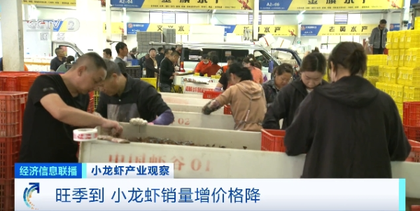 在线炒股配资看必选 价格近腰斩！“还会再降”