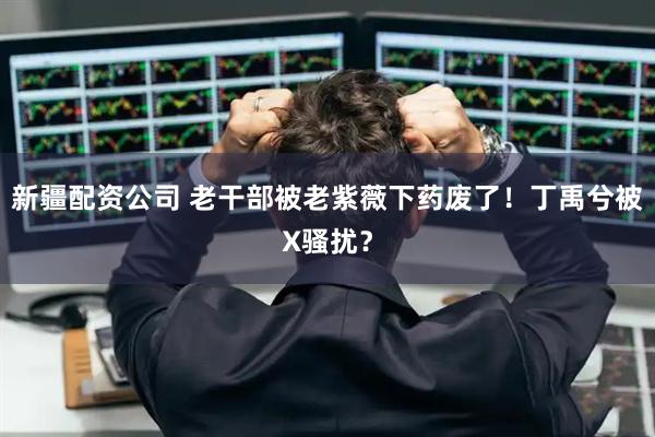 新疆配资公司 老干部被老紫薇下药废了！丁禹兮被X骚扰？