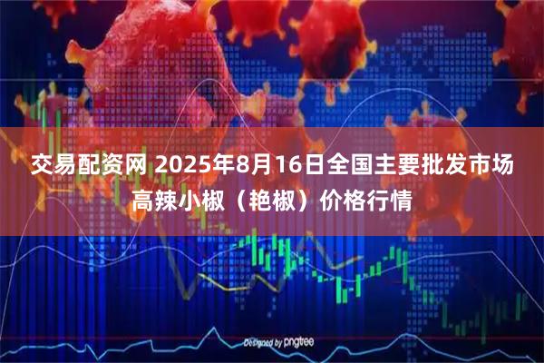 交易配资网 2025年8月16日全国主要批发市场高辣小椒（艳椒）价格行情